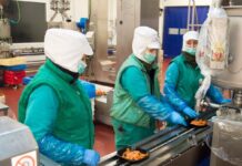 Emcesa incrementa un 15% su plantilla para afrontar la campaña de Navidad