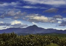 ADEL impulsó la economía rural con ayudas a asociaciones y ayuntamientos