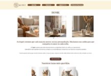 De la idea al producto: la UVa impulsa en sus aulas un ecosistema de microemprendimiento digital