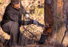 COPADE concluye el proyecto Del Bosque a tu Casa con resultados visibles en nueve territorios rurales