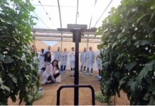 Cajamar Innova Agrotech lanza tres nuevos Retos Tecnológicos para impulsar la innovación en el sector agroalimentario