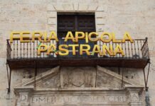 Pastrana cierra una gran Feria Apícola