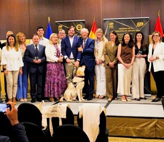 Llegan los quintos Premios Nacionales de la Franquicia